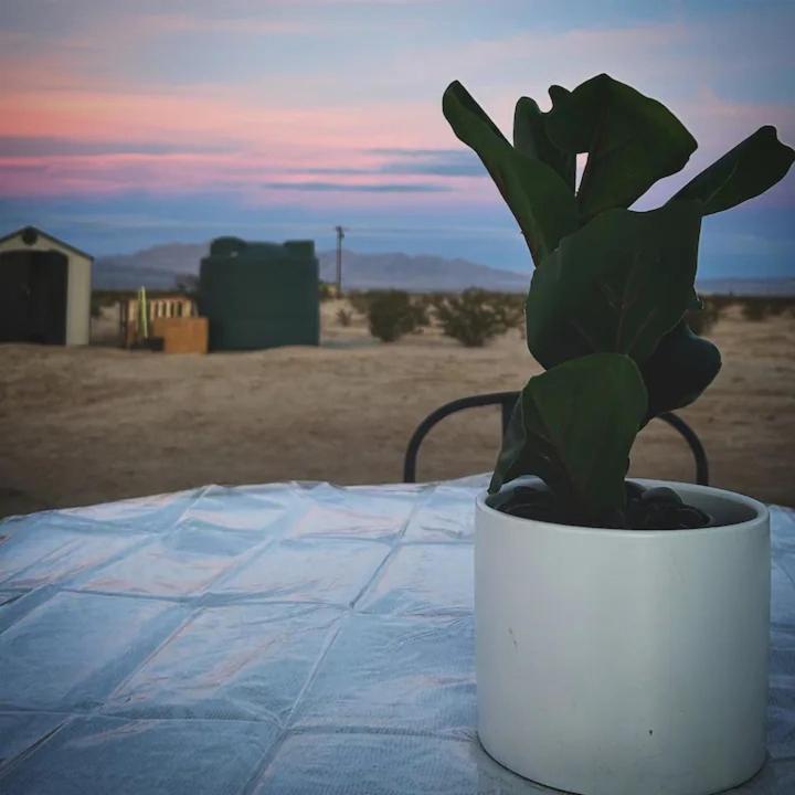 Serene Modern Home Backdoor With Great Wifi, Games, Movies, Patio Seating And Bbq Easy Access To North Joshua Tree National Park In 10 Minutes Twentynine Palms Exterior foto